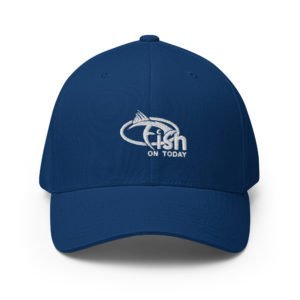 closed back structured cap royal blue front 629e4e14e38d3