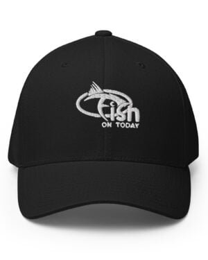 closed back structured cap black front 635e7374d8740