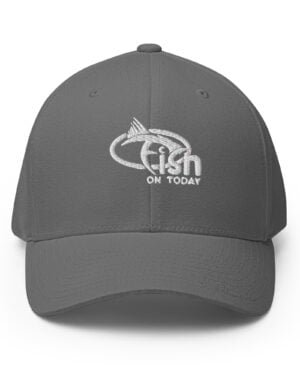 closed back structured cap grey front 635e7374d93df