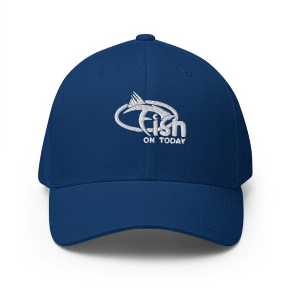 closed back structured cap royal blue front 635e7374d8a1e